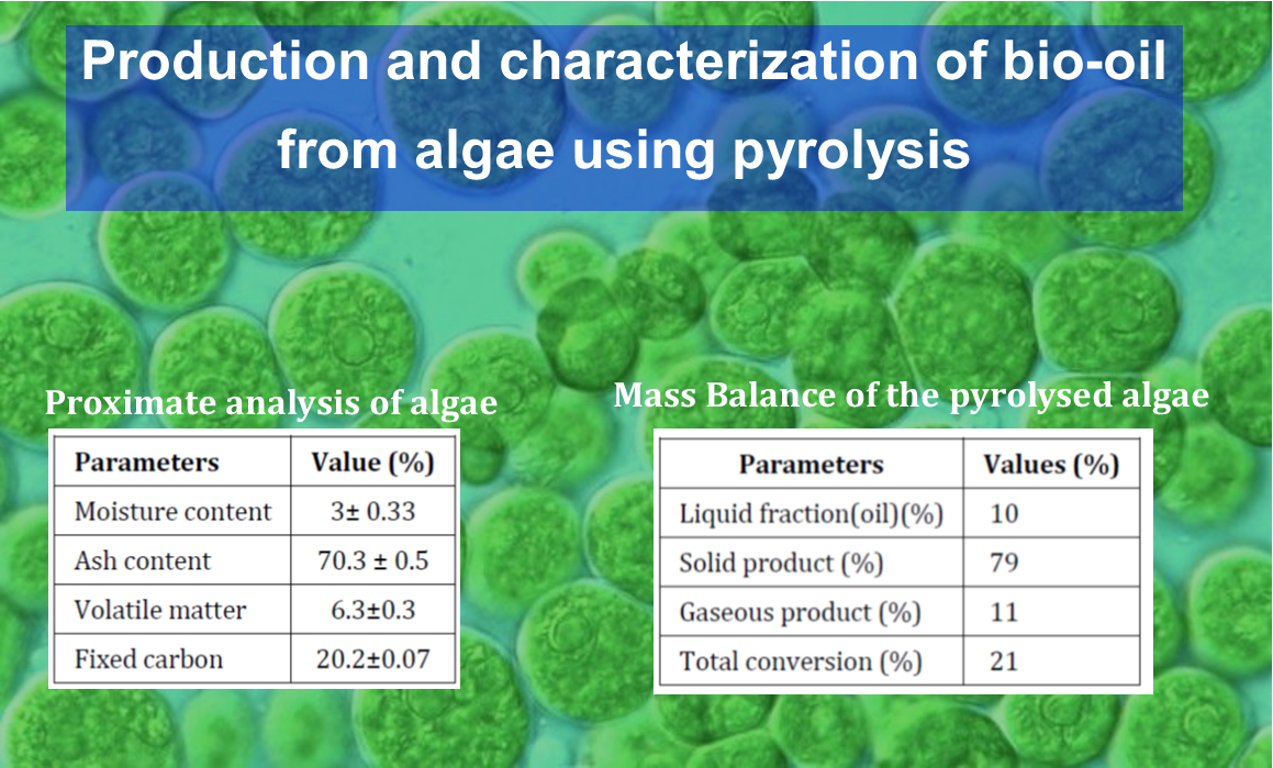 Oil production from algae image